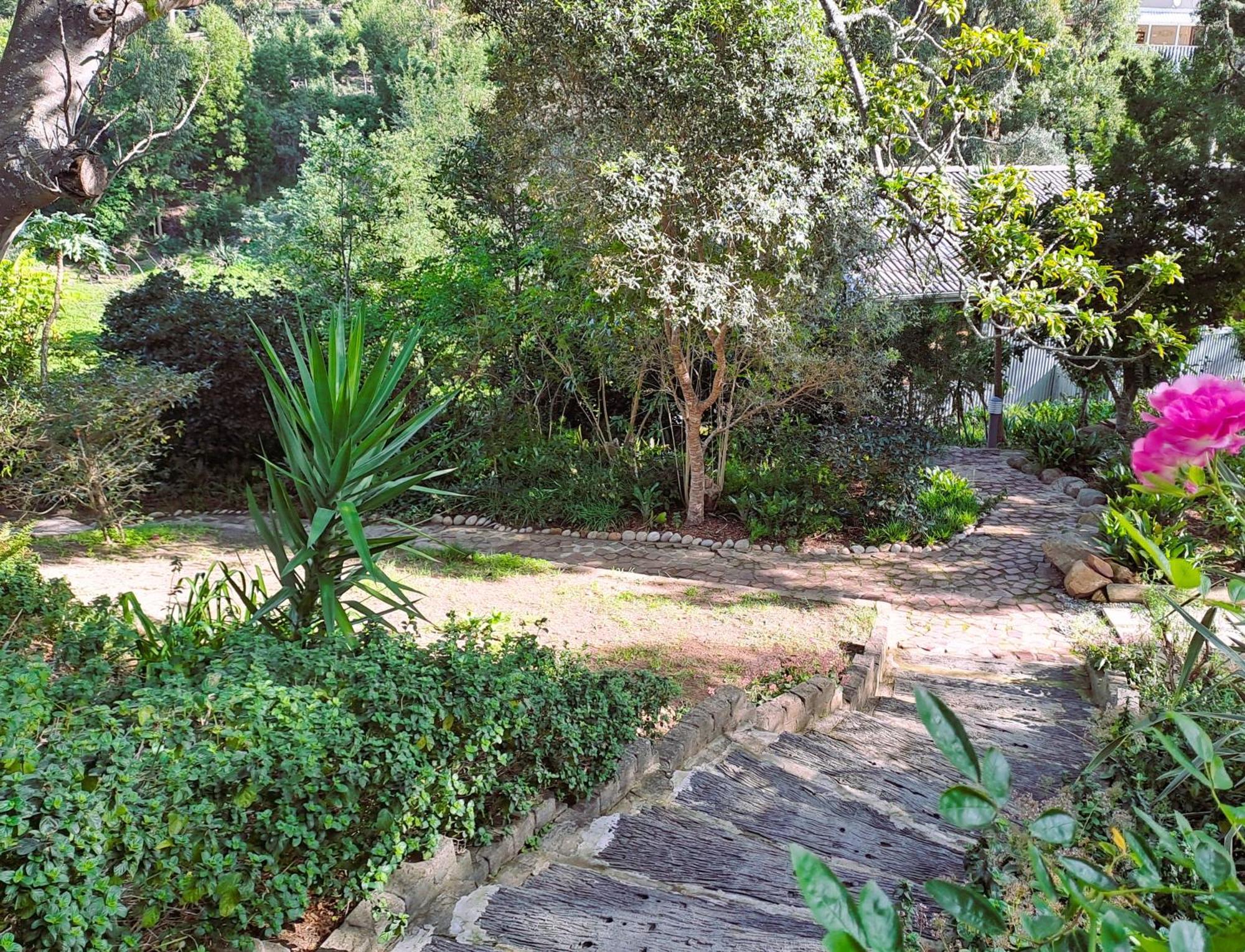 Badger'S Lodge Knysna Exteriér fotografie